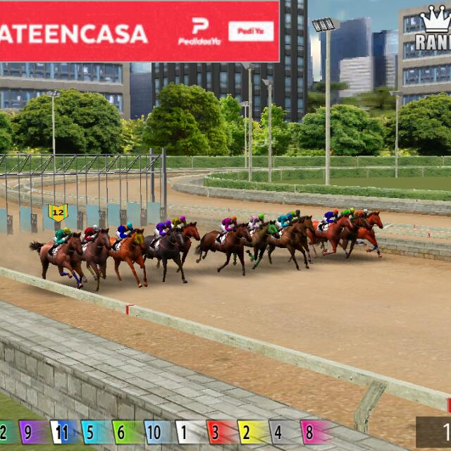 ⛿⛿🏆TURF 🐴Y GALGOS🐶⛿⛿