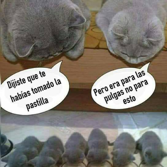 Los Chupa pijas
