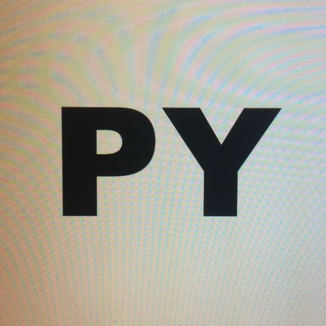 elprofedepīnyīn