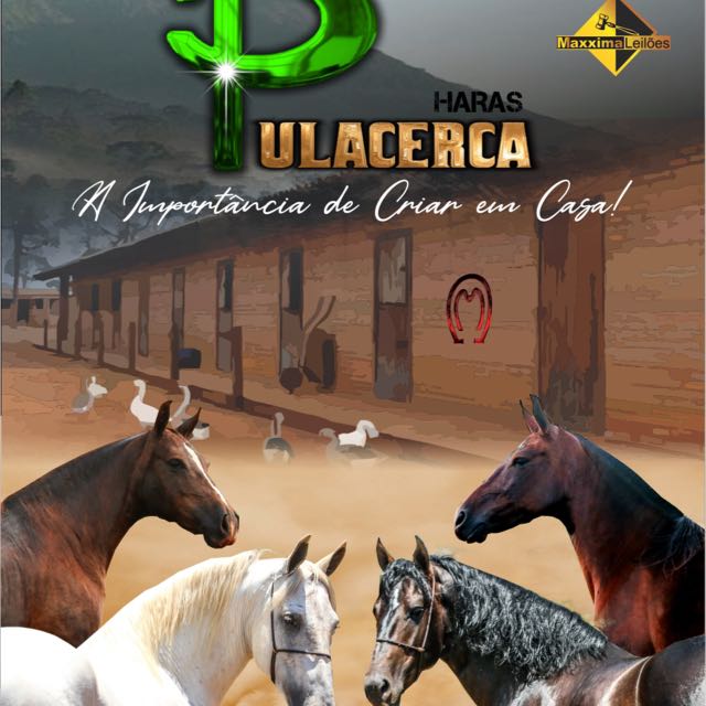 2º LEILAO PULACERCA