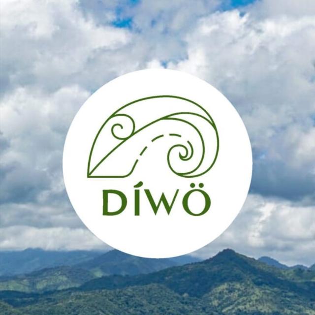 Voluntarios Díwö🍃