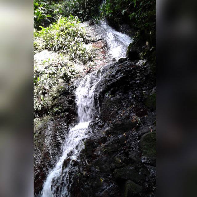Cerro Mauro - Sta Librada