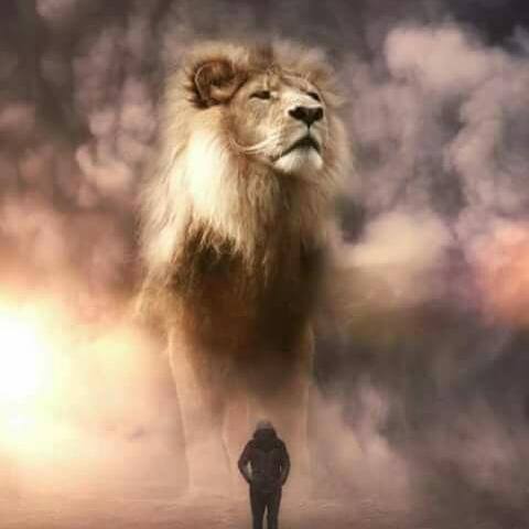 Monterrey Leones🦁🦁pp