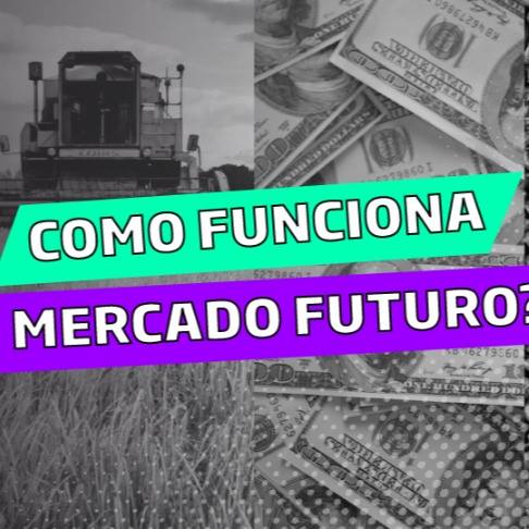 Lançamento Guia Prático#6