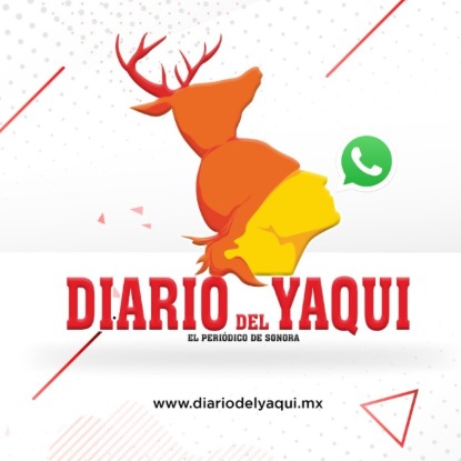 Noticias DY #16 🗞️🌐✅