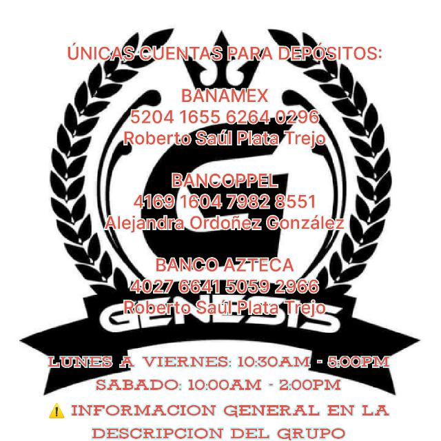 #19Import.Genesis Mayoreo
