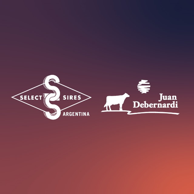 🚩STAND SELECT SIRES