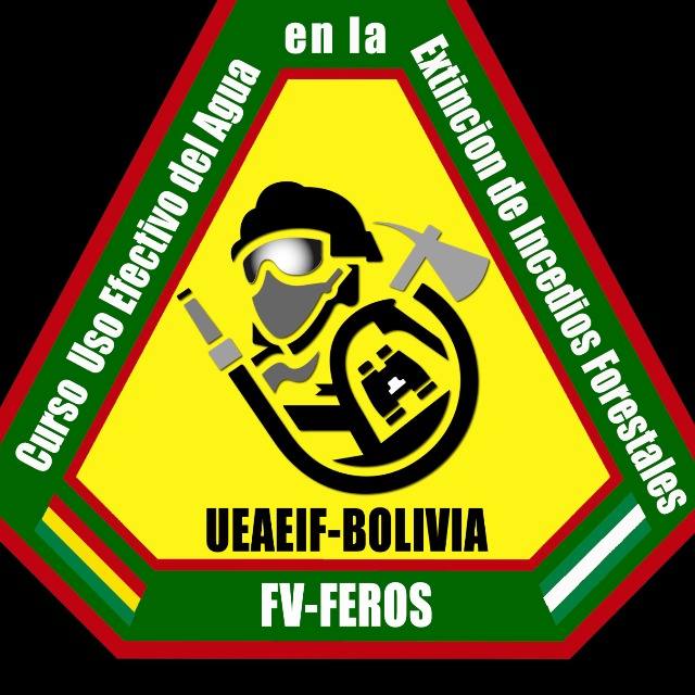 PRIMER CURSO UEAEIF 2020