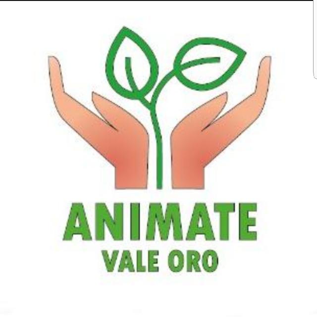 Animate Joven 2