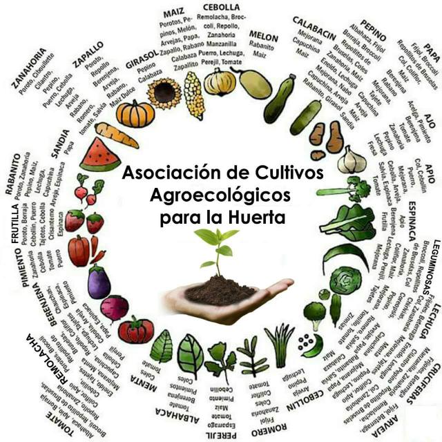Huerteros Argentinos 👨🏽‍🌾🌱🥕🍅