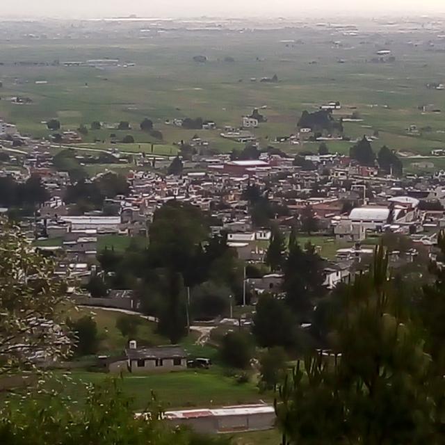 Alerta Colonia Alvaro O😎