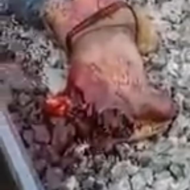 Conocer gente nueva 