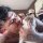 davidjosuemorales
