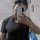 Armando485