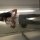 Fanny32 buscando Buscar pareja en Portomarin Casco Urbano Fanny32 chica soltera en Portomarin Casco Urbano