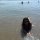 cpatriciabeltran