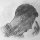 Edwin Alpon