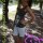 Dalma