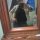 ARELY