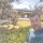 Surito81