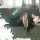 Fabiane ♥