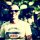 ELKIN YESID BEDOYA HERRERA