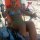 Grisel