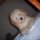 nmcn buscando en Barinas nmcn chica casada en Barinas