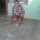 Dominga