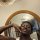 cheikhtoure