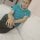 julioalatorre buscando Hacer amigos en Tepic julioalatorre chico soltero en Tepic