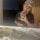 julioarmando70469