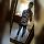 Yoel27