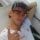 Ferema22