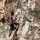 gataclimb buscando Hacer amigos en Granada gataclimb chica casada en Granada