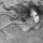 wanda garcia