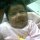 victor balbuena