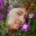mariajose