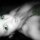 Marilo