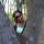 Meley