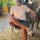 luishernandez36