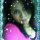 rosa cecilia gonzalez barrera