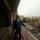 raulflores6442
