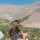 Omarx19