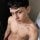 Alex hernandez