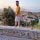 franciscojavier99004
