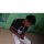 lopezagustin6733