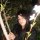 Nathaly