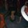 Nuria