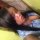 Ruth